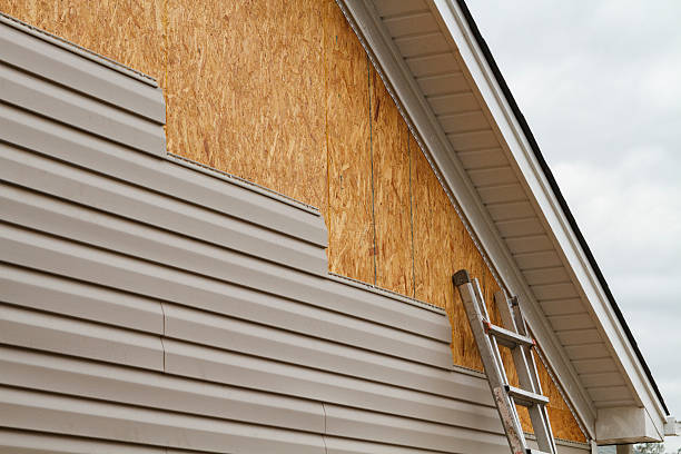 Professional Siding Inspection technician working in Bristol, TN